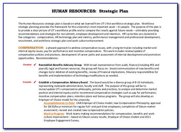 Hr Strategy Plan Sample
