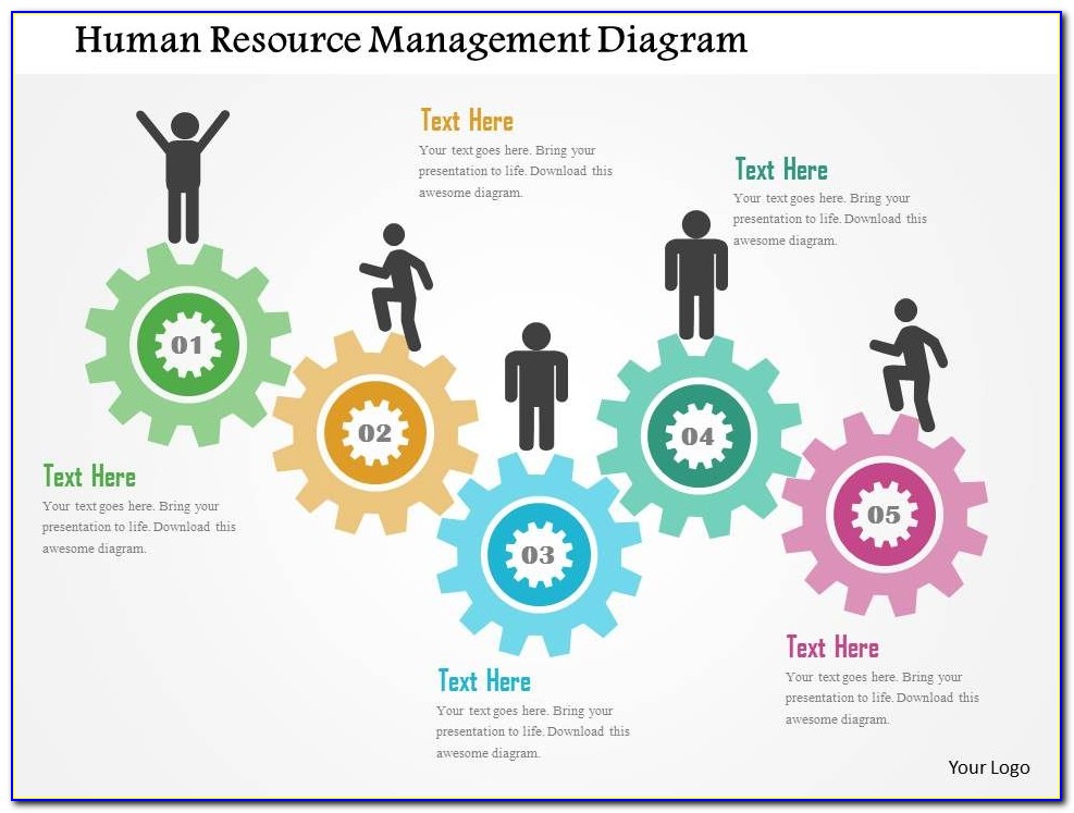 Human Resources Policies And Procedures Examples