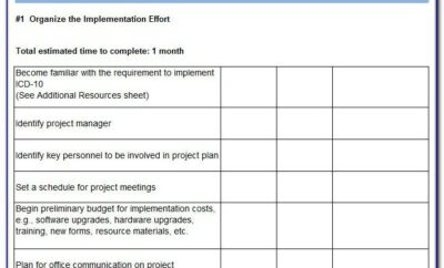 Implementation Plan Sample Excel