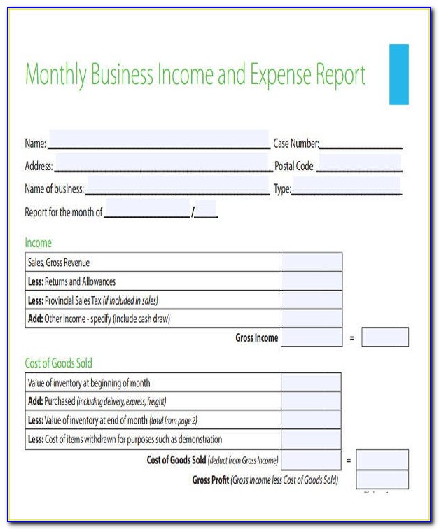 excel template for income expense report