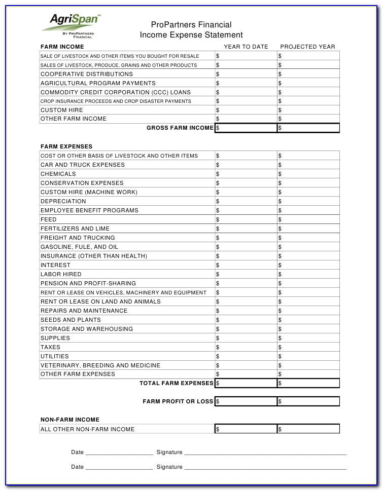 Income And Expense Statement Sample