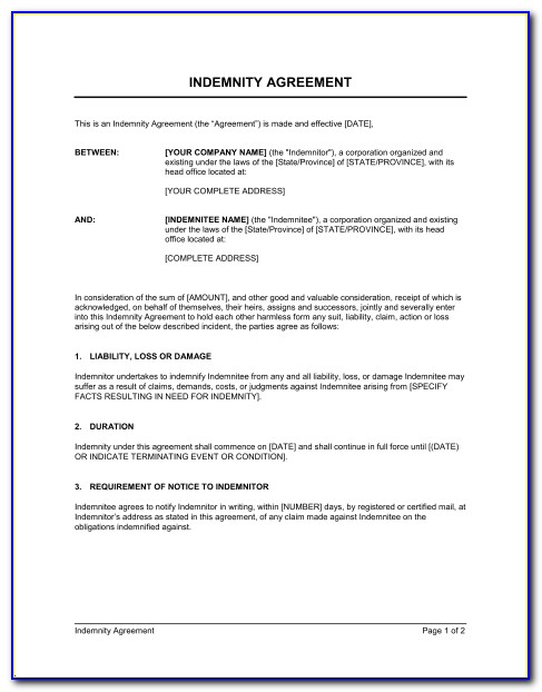 Indemnity Agreement Letter Sample