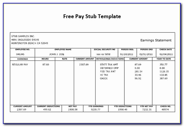 Independent Contractor Pay Stub Template Free