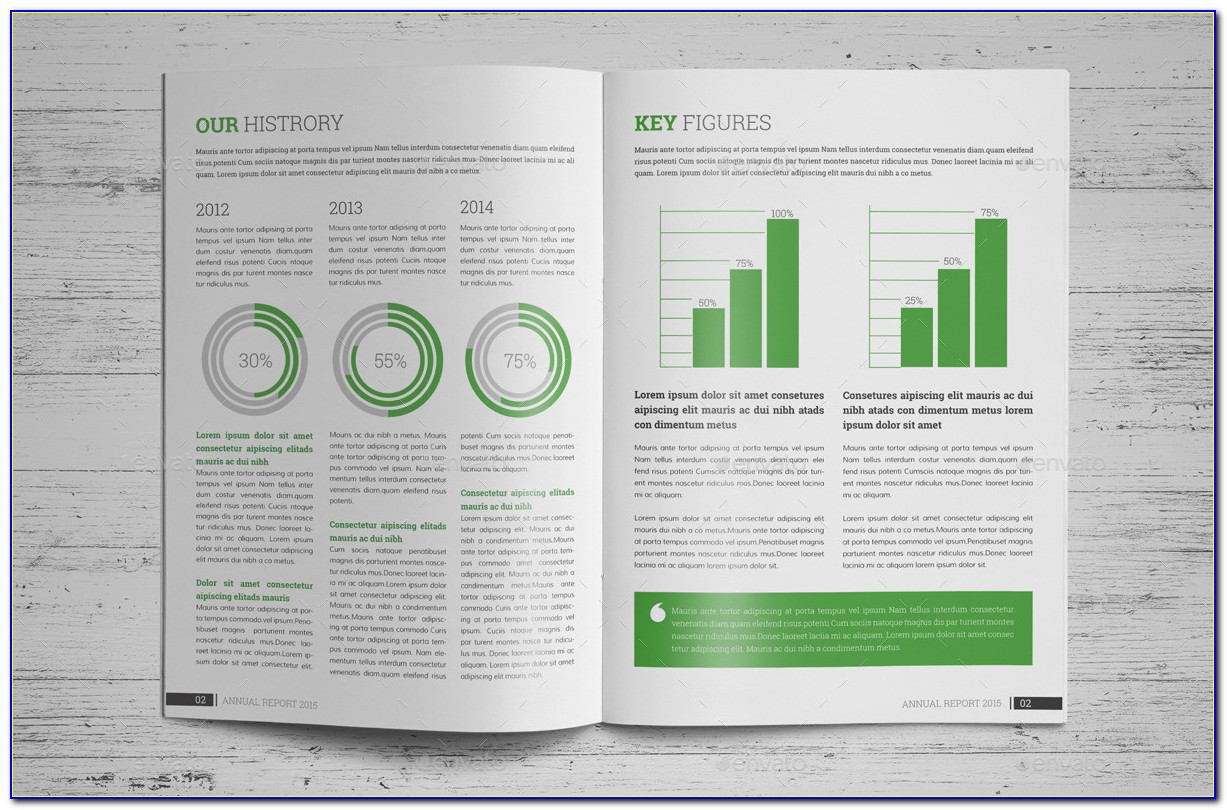 Indesign Annual Report Template Free Download