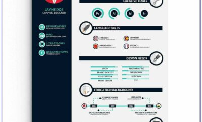 Infographic Resume Template Ppt