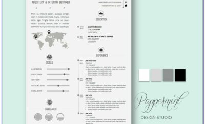 Infographics Template For Ppt