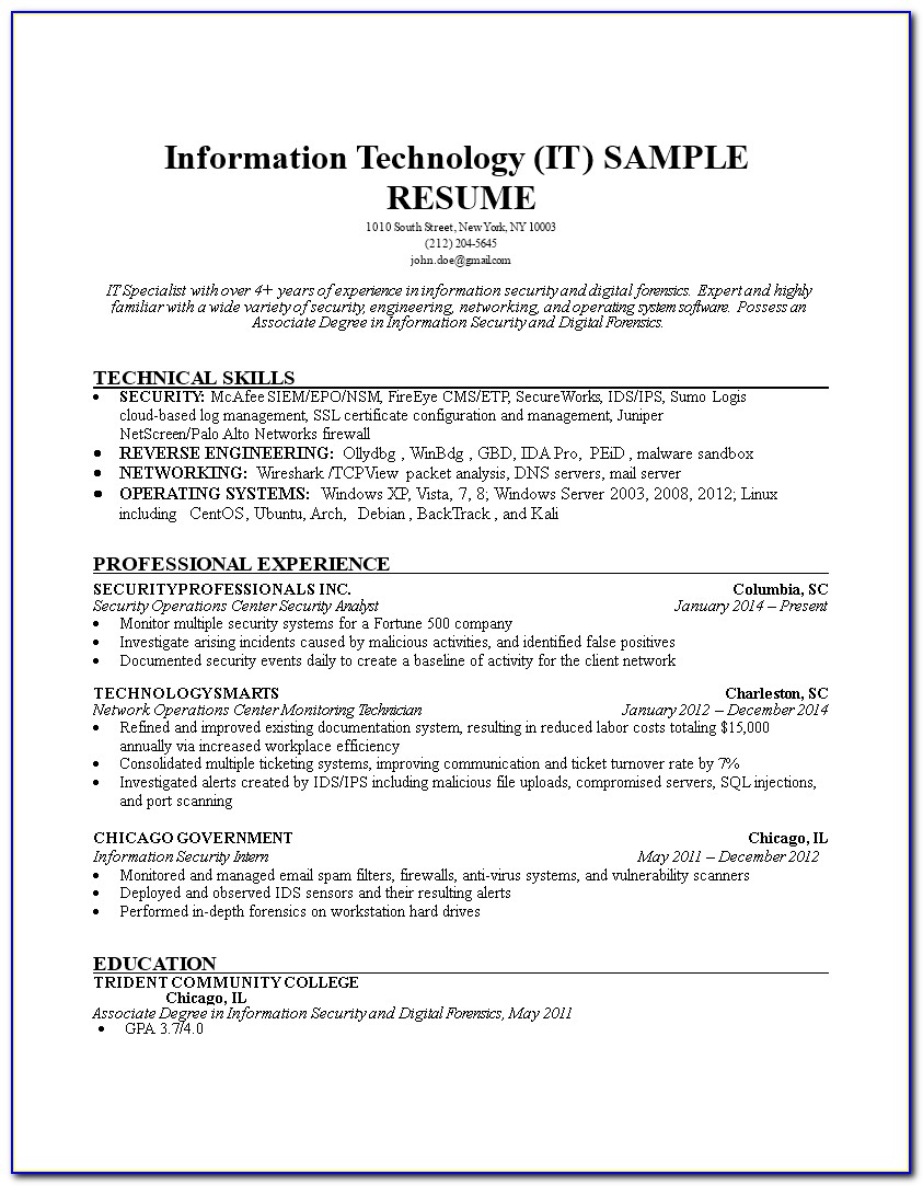Information Technology Resume Examples No Experience