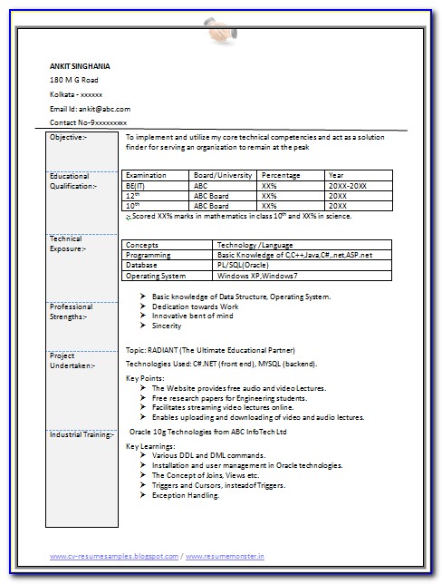 Information Technology Resume Template 2015