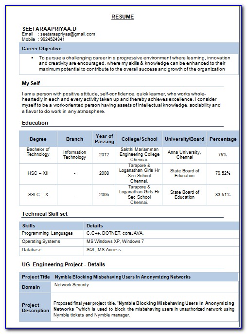 Information Technology Resume Template Download