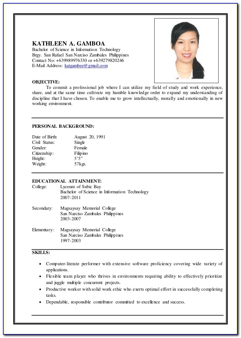 Information Technology Resume Templates Word