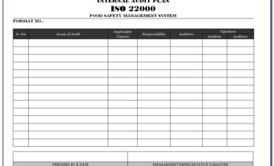 Iso 9001 Audit Plan Format