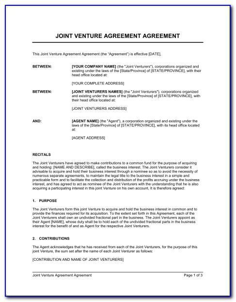 Joint Venture Contract Example