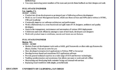 Junior Java Developer Resume Example