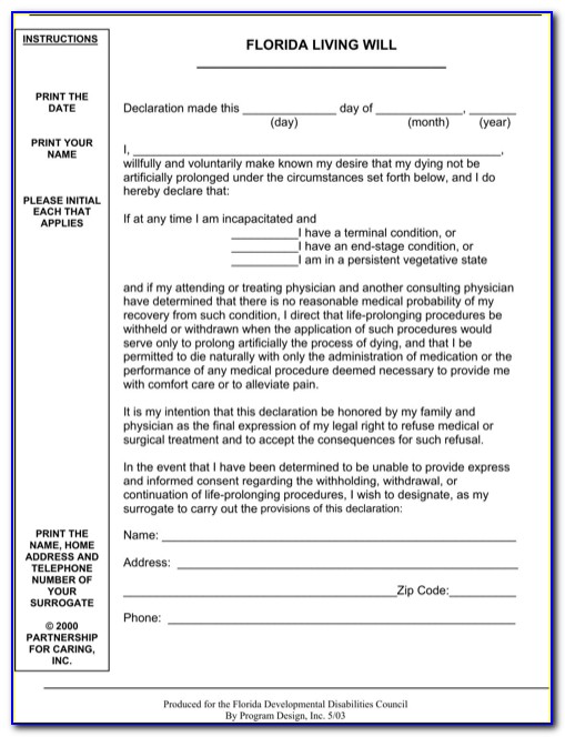 A Fillable Health Care Directive Form Mn