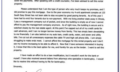 Example Of Hardship Letter For Short Sale Due To Divorce