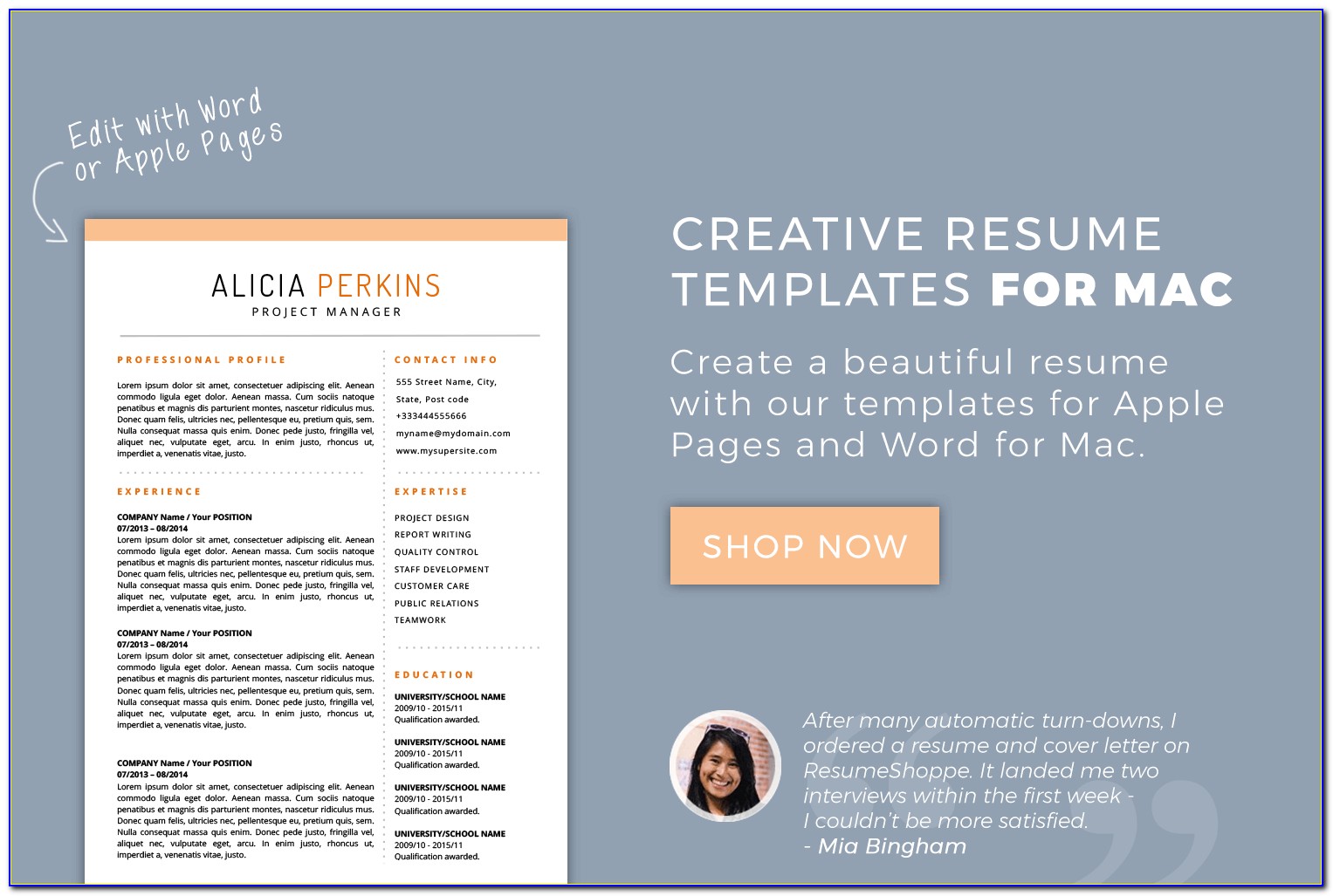Free Resume Templates For It Professionals Download