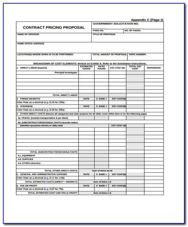 Government Contract Proposal Template