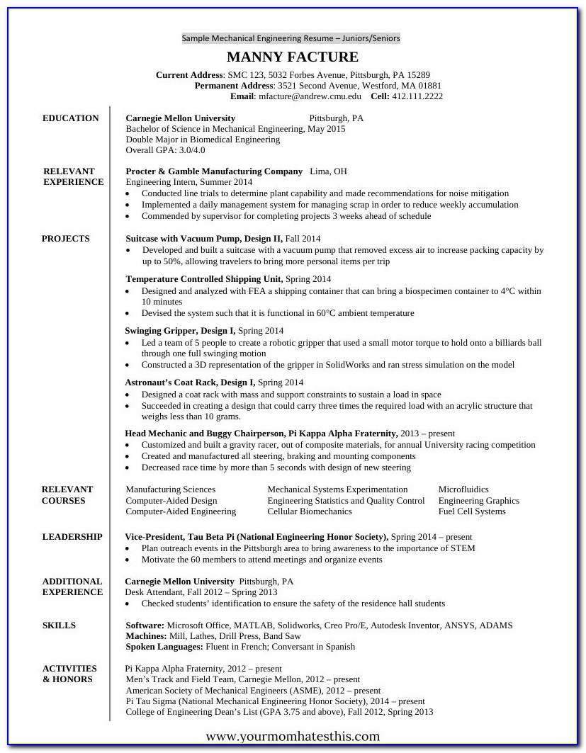 Resume Format For Mba Freshers Pdf Free Download