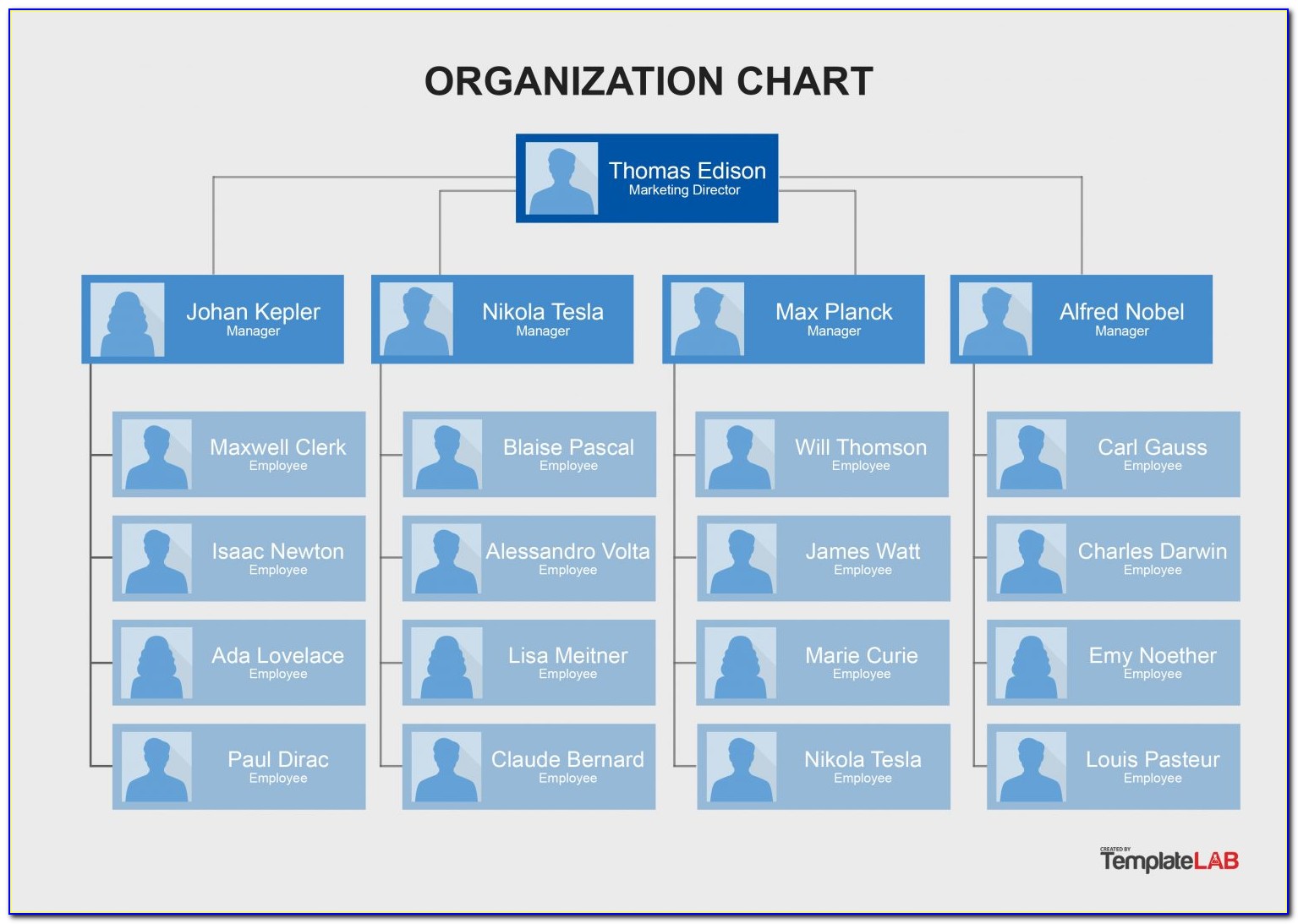 Free Company Org Chart Template
