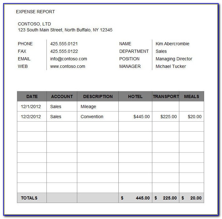 Free Expense Report Template For Taxes