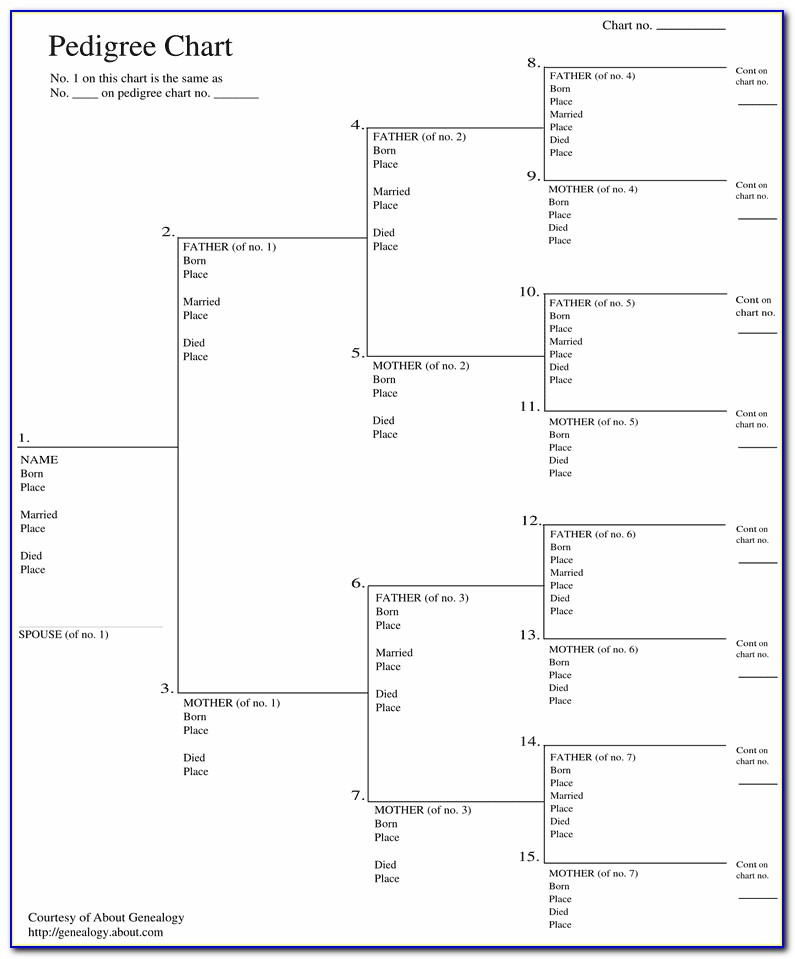 Free Genealogy Templates From Microsoft