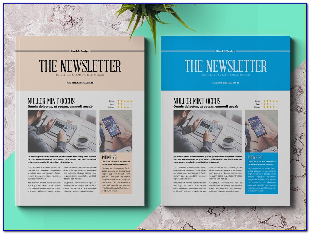 Free Newsletter Templates Indesign