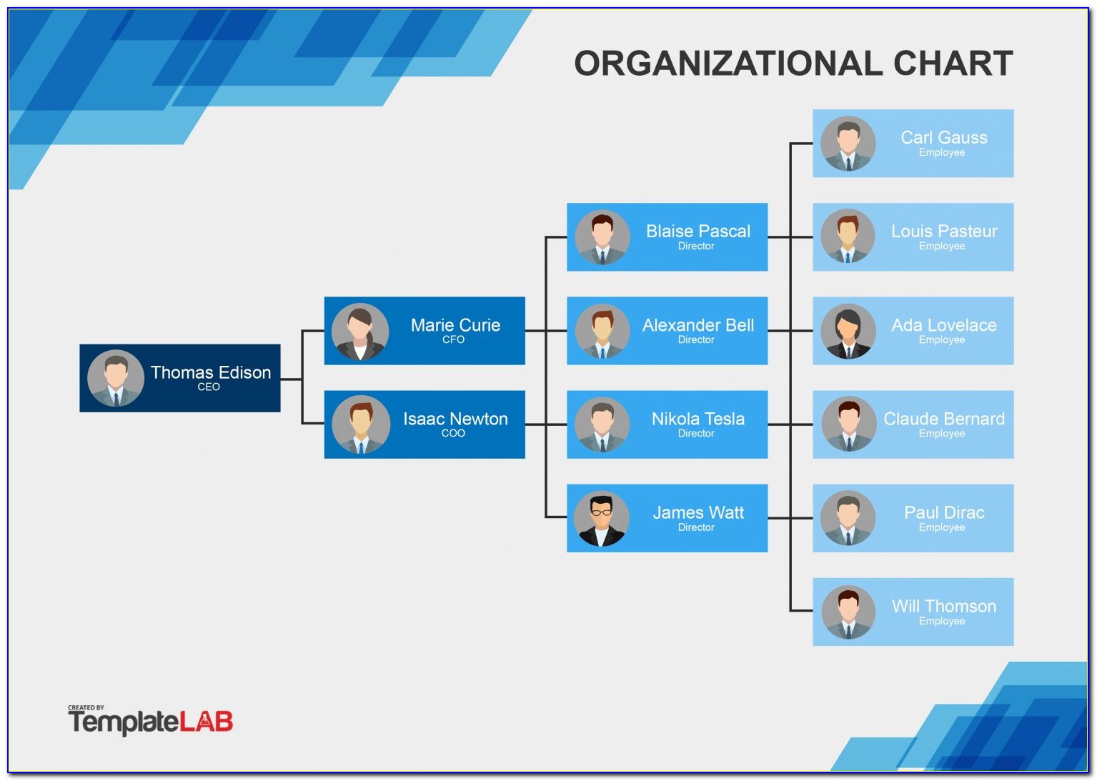 Free Organizational Chart Templates For Word
