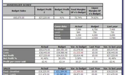 Free Profit And Loss Statement Form Download