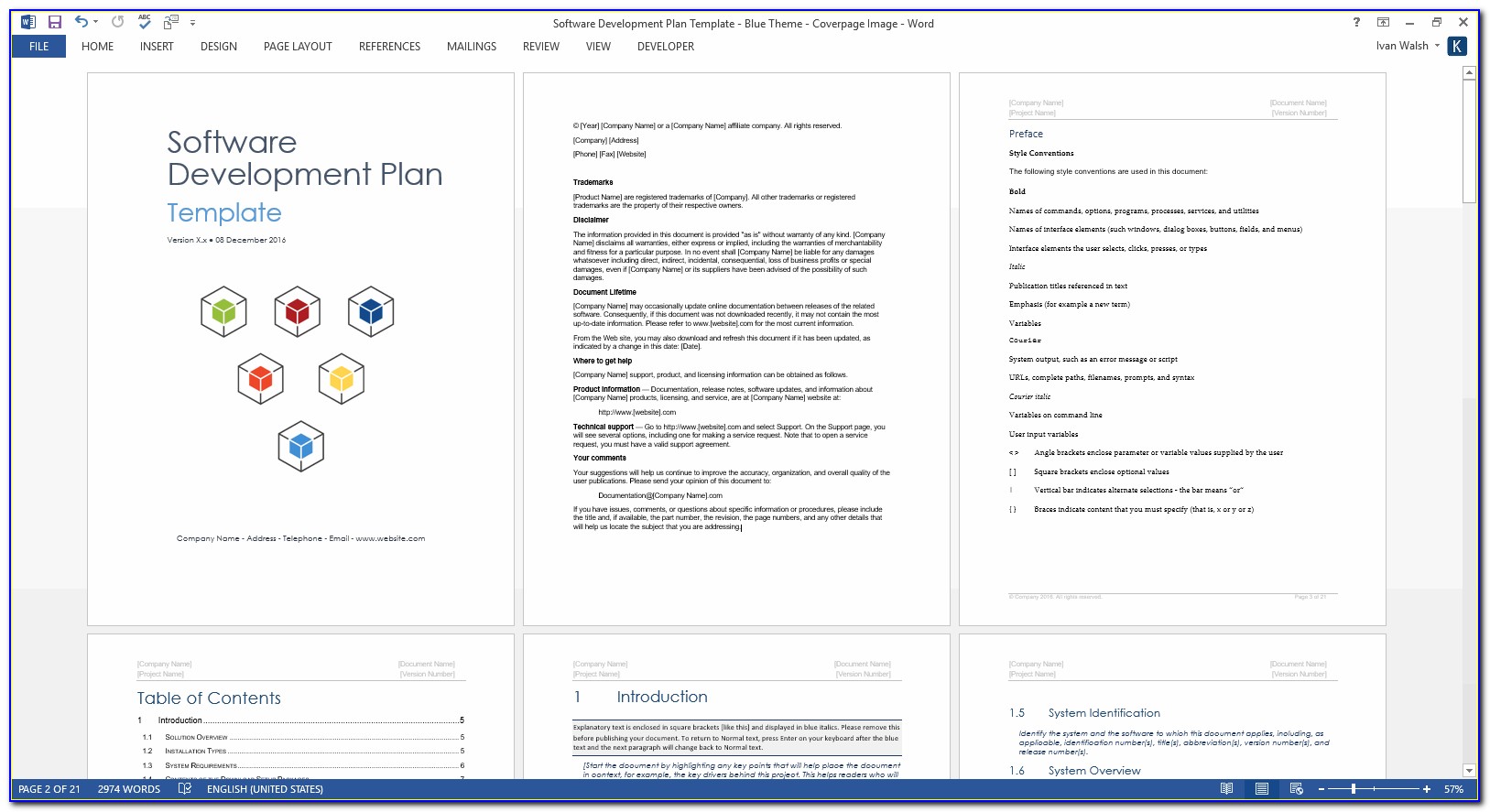 Software Proposal Template Free Download