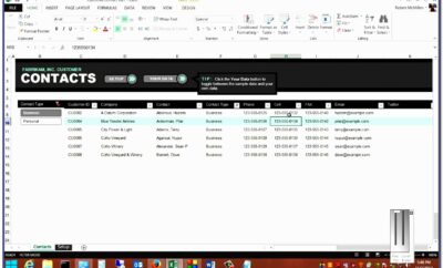 Excel Client Database Template