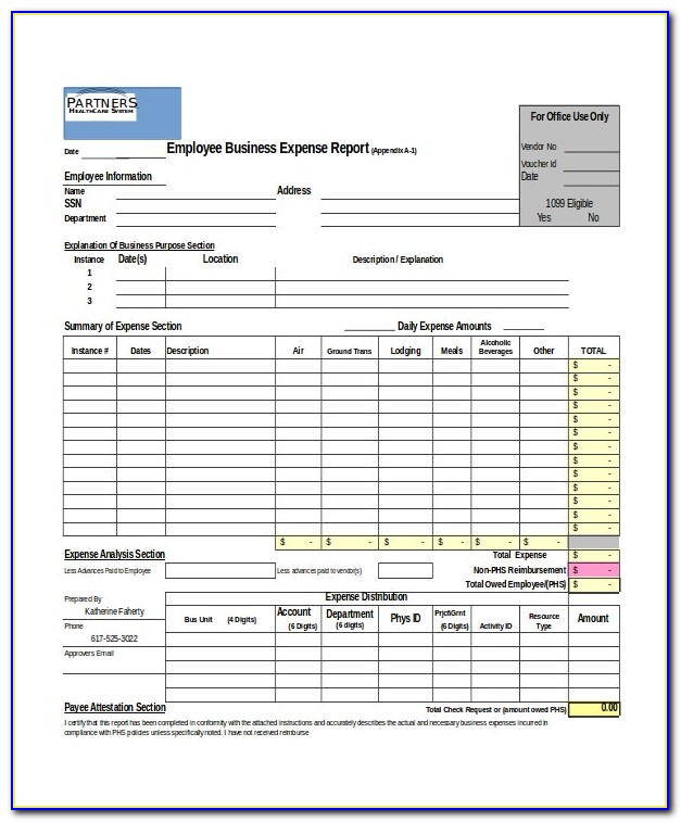 Excel Form Expense Report