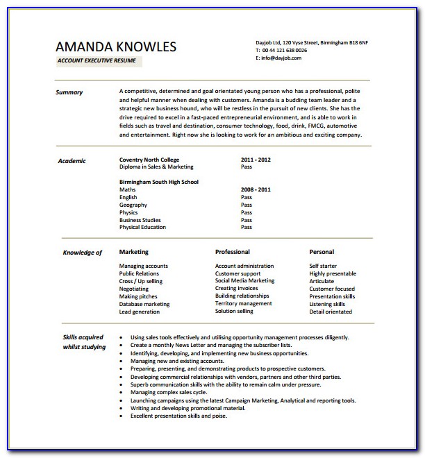 Executive Assistant Resume Template Free