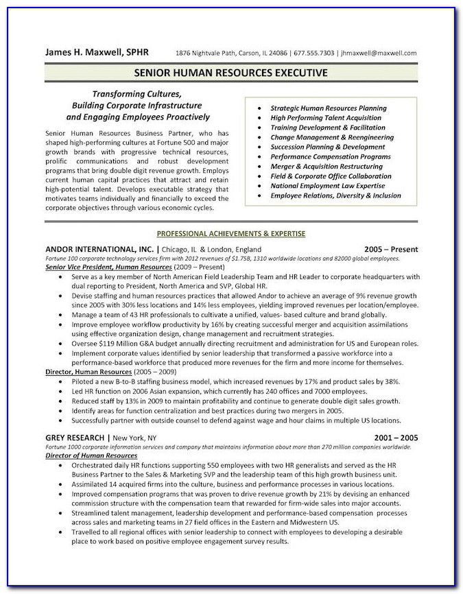 Executive Resume Format Word