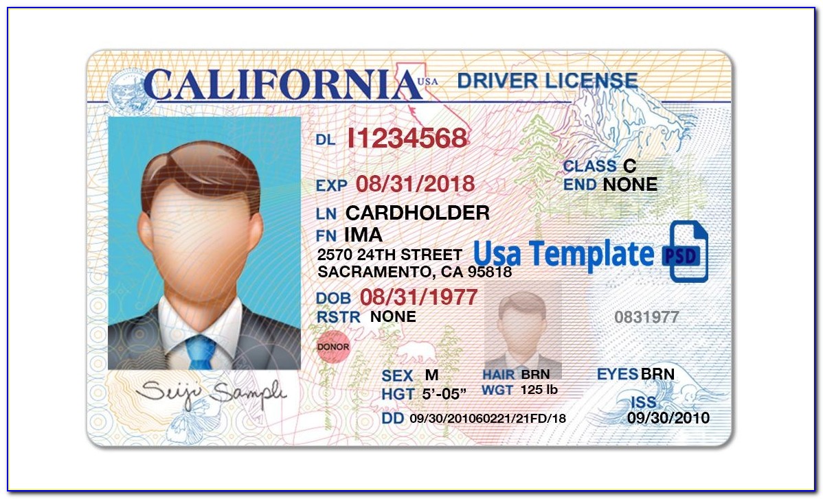 Fake Ca Drivers License Template