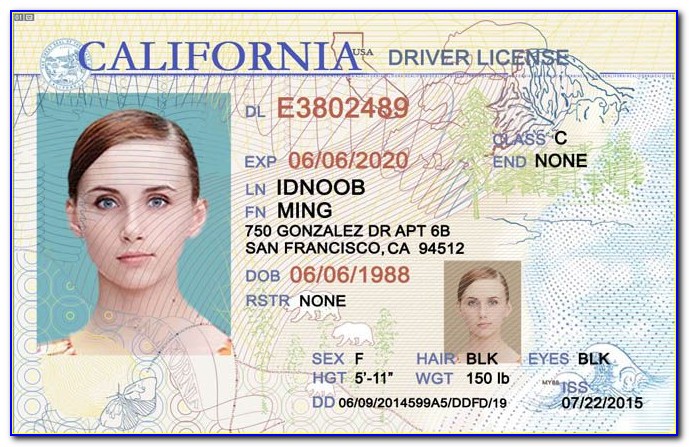 free california driver license template