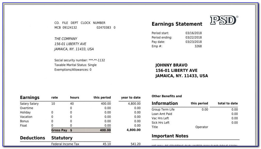 Fake Pay Stub Examples