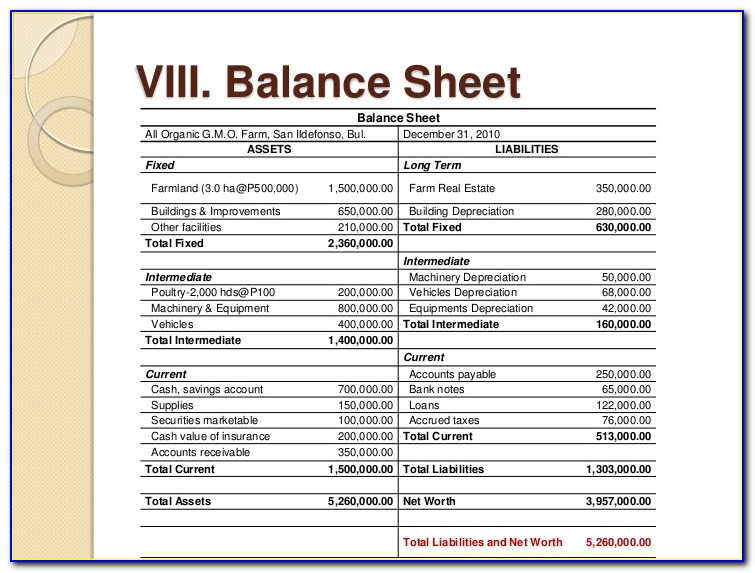 Farm Balance Sheet Example