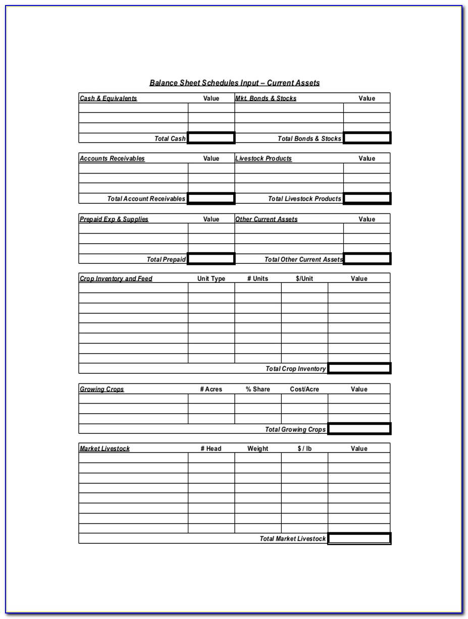 Farm Balance Sheet Template Excel