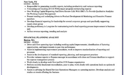Financial Planning Analyst Resume Sample