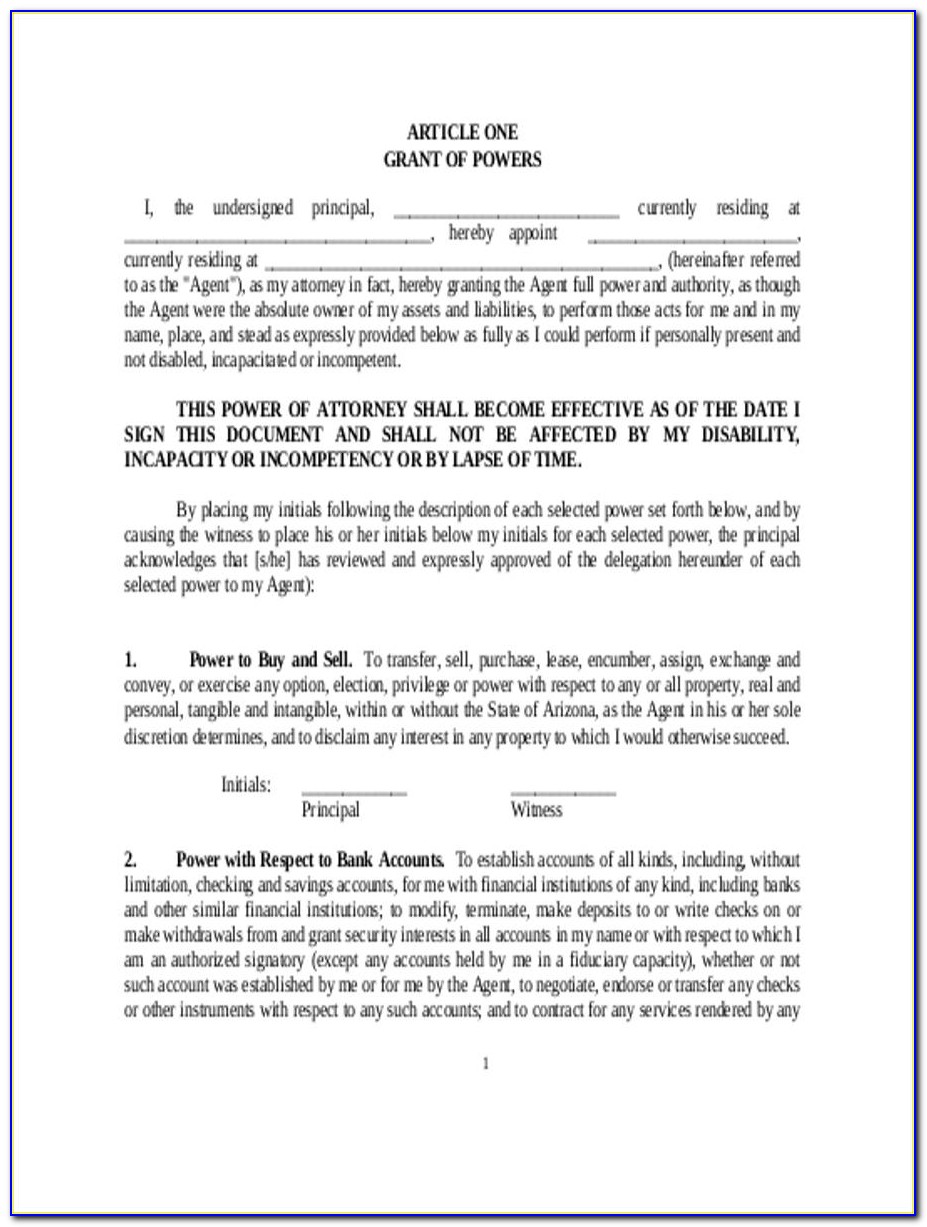 Financial Power Of Attorney Virginia Template