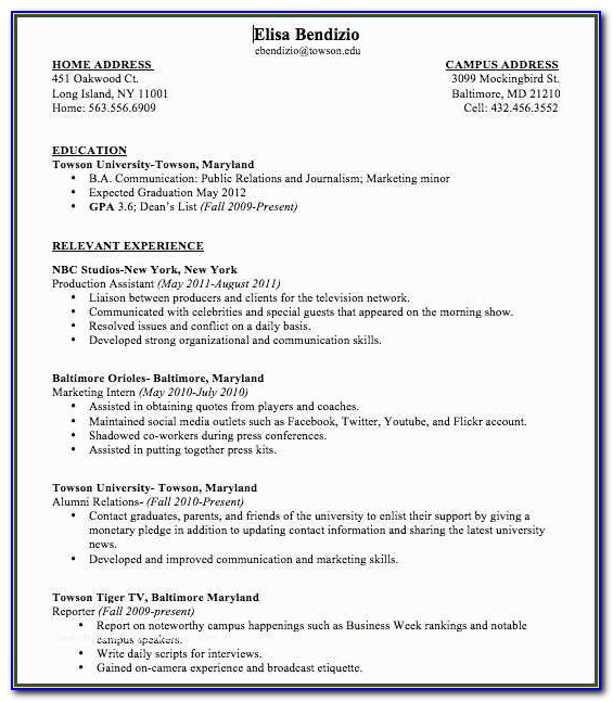 First Time Employment Resume Template