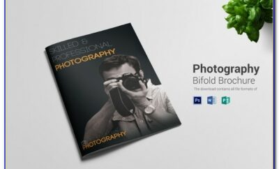 Free Bifold Brochure Template For Word