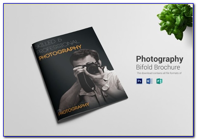 Free Bifold Brochure Template For Word