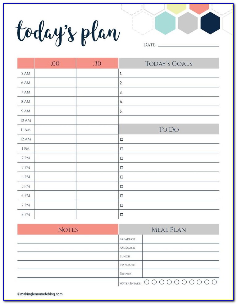 Daily Hourly Planner Template Excel