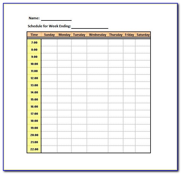 Daily Nursing Schedule Template