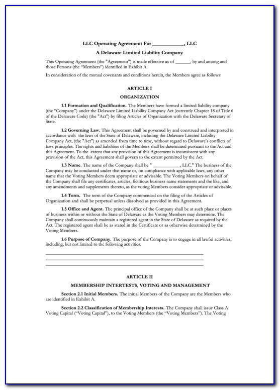 Delaware Llc Operating Agreement Form