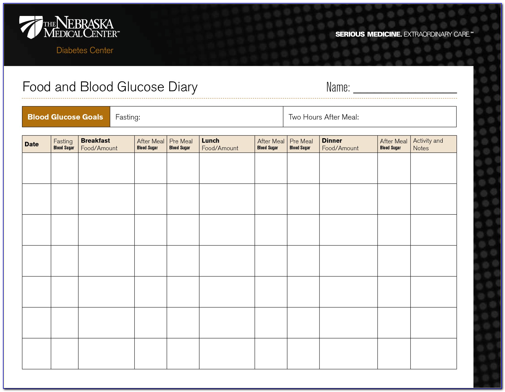 Diabetes Food Log Spreadsheet
