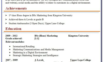 Digital Marketing Cv Examples Uk
