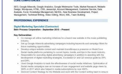Digital Marketing Executive Resume Format