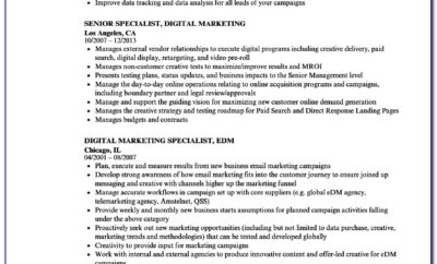 Digital Marketing Executive Resume Sample Pdf